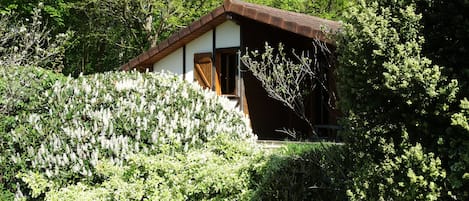 Le Colvert dans son espace fleuri