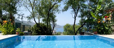 Piscine avec vue donnant sur la mer