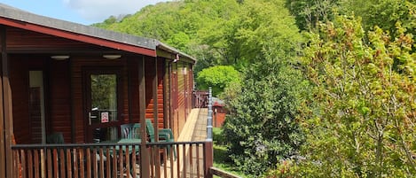 Valley Vista - a lovely 2 bedroom lodge overlooking woodlands in Lynton