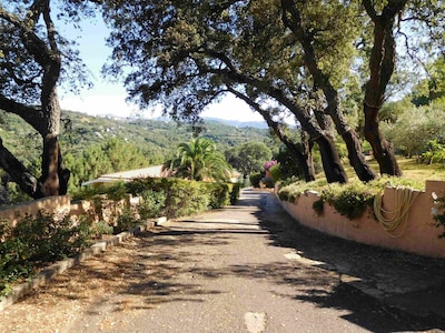 Villa Grazia - Country house immersed in the green between sea and mountain