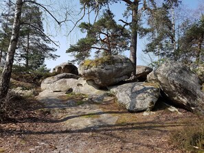 Parco della struttura