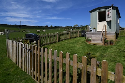 Secluded, peaceful large Shepherd hut on 14 acre smallholding.