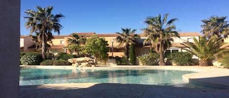 Swimming pool and garden