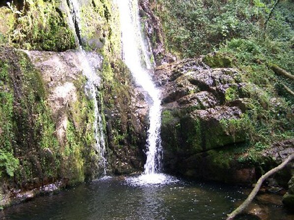 Terrenos do alojamento