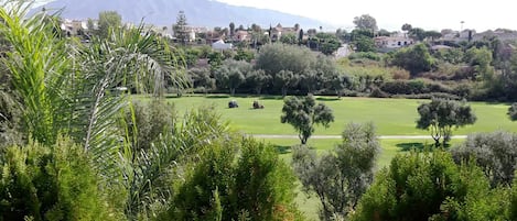 Vistas desde la terraza Principal-LA Concha