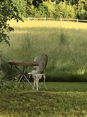 Rockwood Park garden field