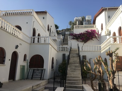 Picture of villa