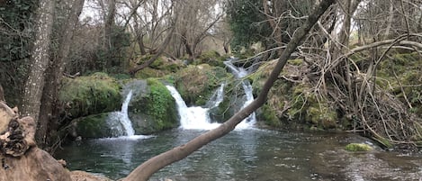 Terrenos do alojamento