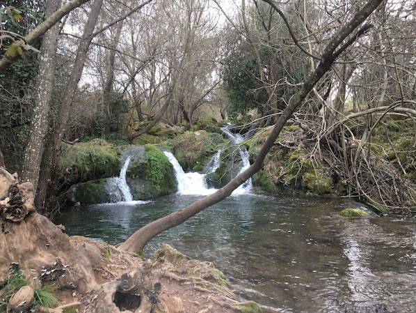 Parco della struttura