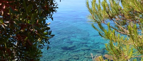 Beautiful view from the shore... Spartia Kefalonia Greece vacations