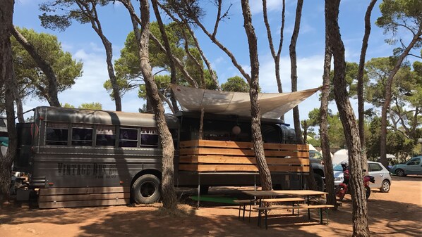 Sleeping in my vintage old prisoner bus 