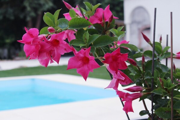 Jardim e piscina privada - Garden and private pool