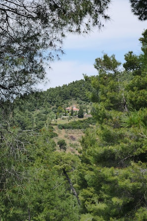 Εξωτερικός χώρος καταλύματος