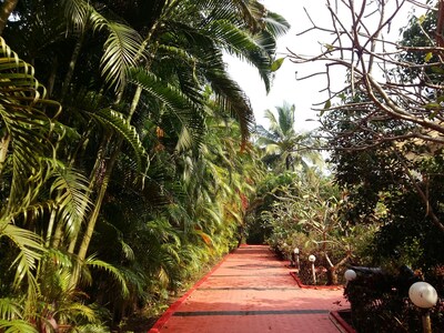 Beautiful 3 BHK Villa with pool in Tranquility ofNature 