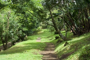 Terrenos do alojamento