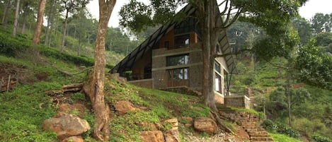 Award-winning eco friendly construction Hornbill House