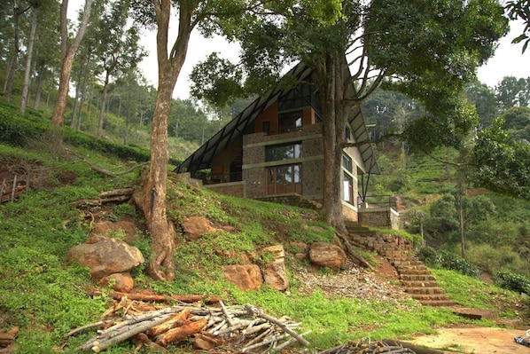 Award-winning eco friendly construction Hornbill House