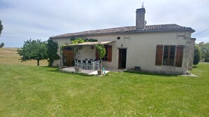 pergola terrace with vines