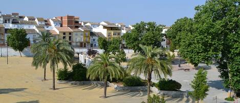 View from terrace