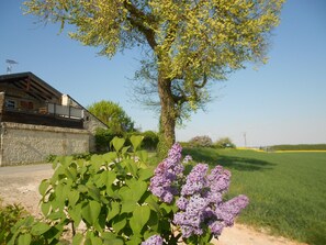 Jardines del alojamiento