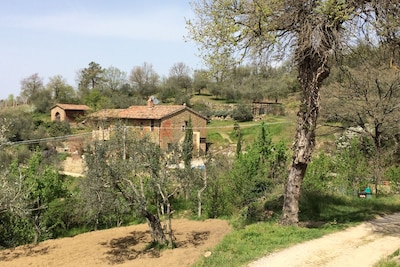 CASA LORENZO ~ OLIVA.  Stunning peaceful farmhouse apt with pool. 2 ~ 4 people