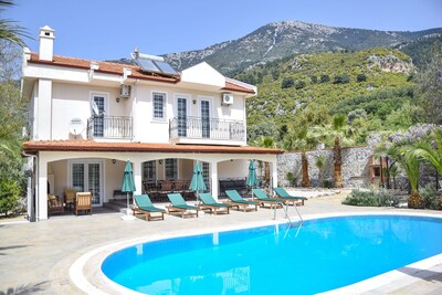 Picture of villa