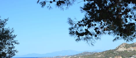 Vue depuis la terrasse