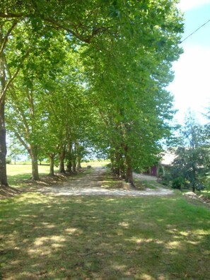 Parco della struttura