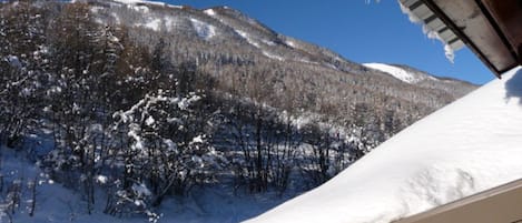 Vue du balcon sur les pistes