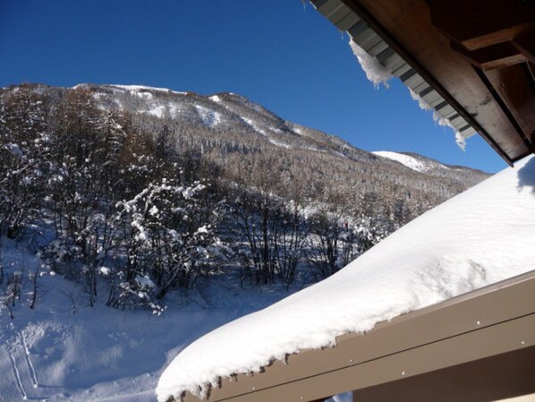 Vue du balcon sur les pistes