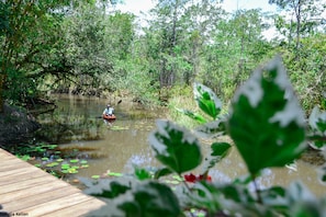 nature reserve