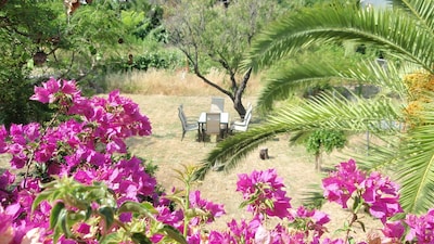  Fully equiped 2 bed apartment costa blanca (further 1 bed apartment available)