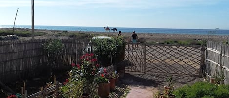 vue sur le jardin et l'ocean