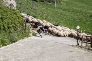 Εξωτερικός χώρος καταλύματος