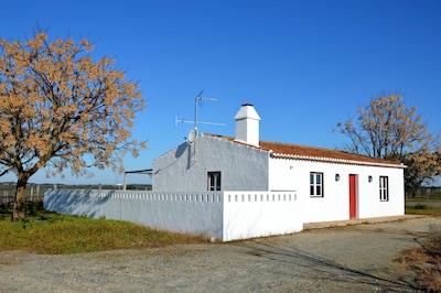 Gardian's house surrounded by vineyards and oak and olive  trees