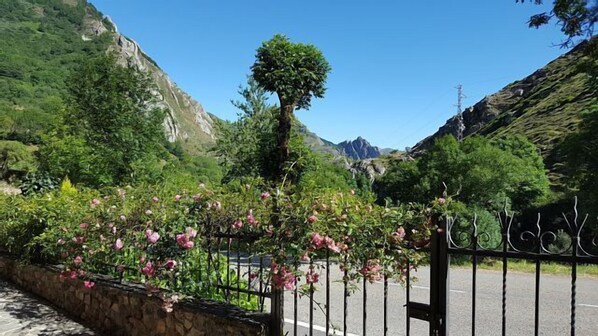 Jardines del alojamiento