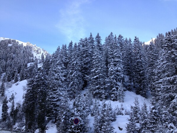 Sports d’hiver
