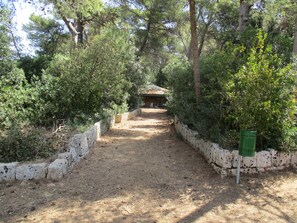 Terrain de l’hébergement 