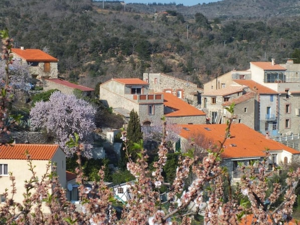 Au centre, ancienne grange surélevée avec terrasse