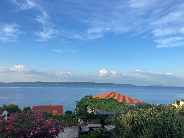 Beach/ocean view