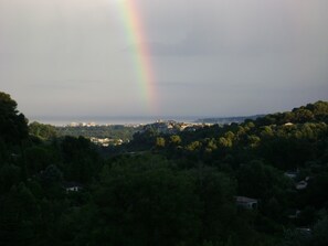 Oklassificerad bild, 3 av 16, knapp