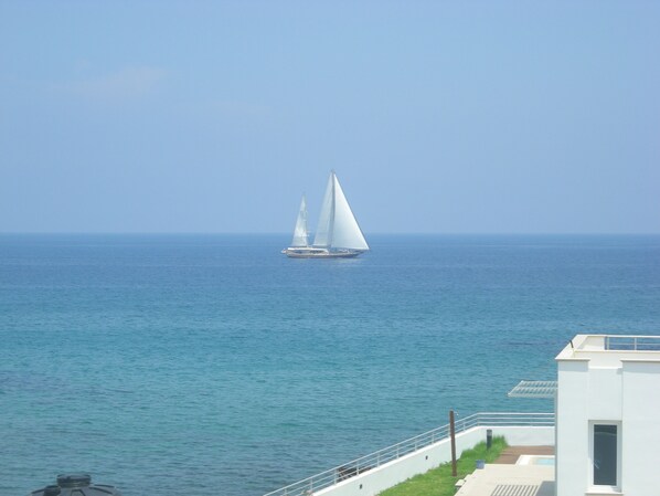 Terrace view