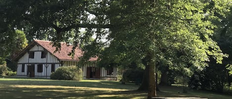 Our farmhouse surrounded by oak trees