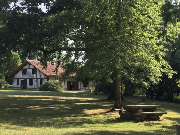 Exteriör