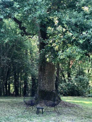 Boendeområde