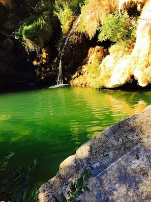 d'autres gorges secrètes, à découvrir avec patience et respect!