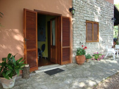 Mini apartment panoramic view surrounded by greenery