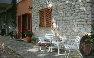 Mini apartment panoramic view surrounded by greenery