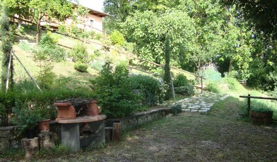 Mini apartment panoramic view surrounded by greenery