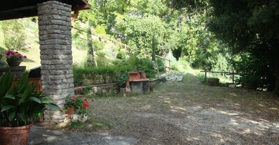 Mini apartment panoramic view surrounded by greenery